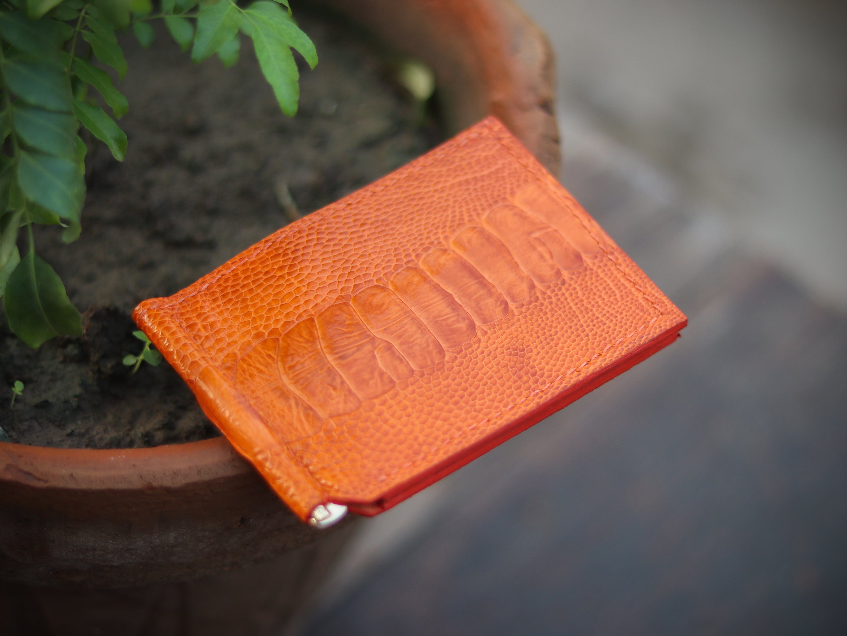 CLIPPER C1 - TANGERINE ORANGE OSTRICH LEG SKIN