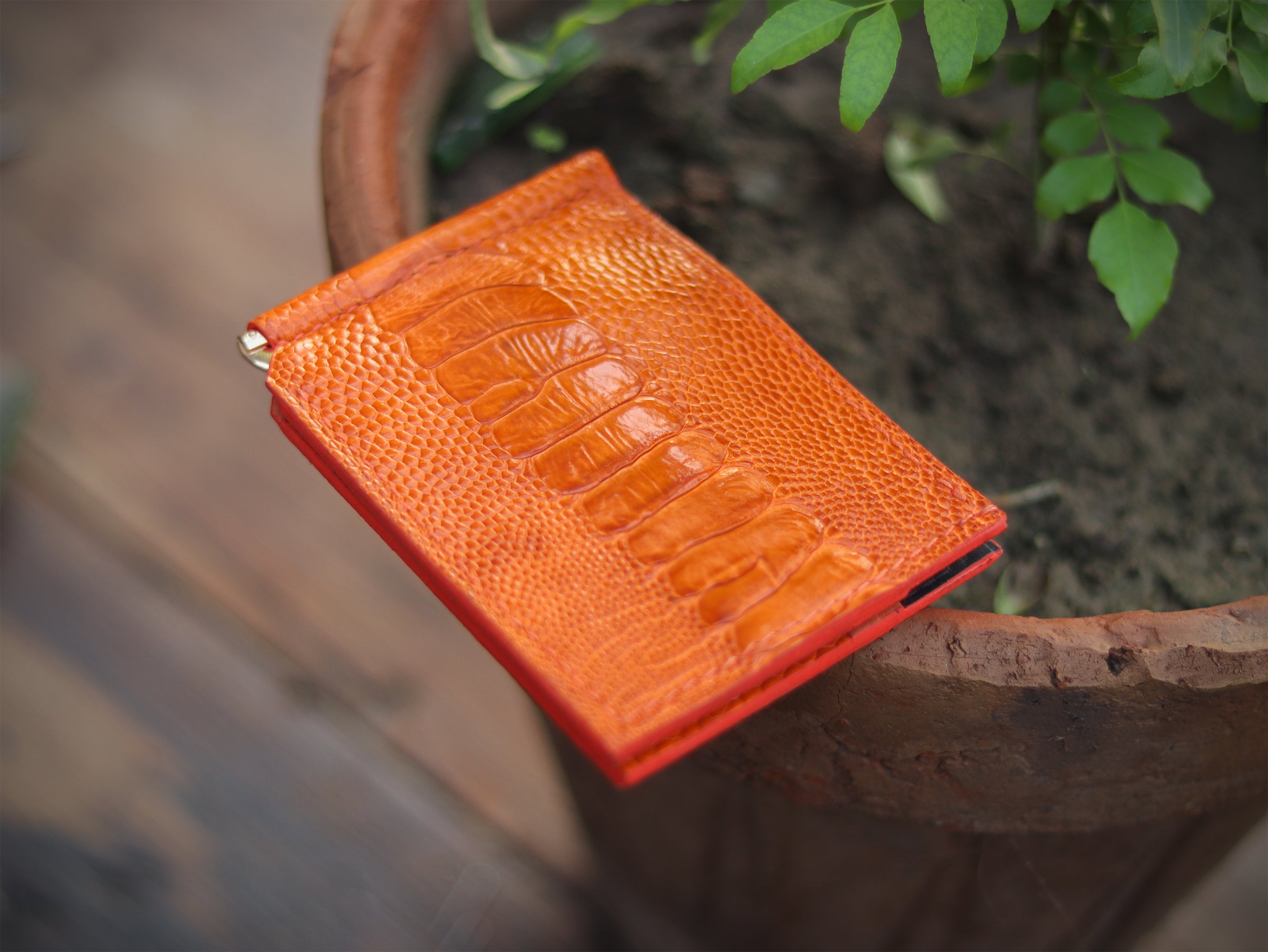 CLIPPER C1 - TANGERINE ORANGE OSTRICH LEG SKIN