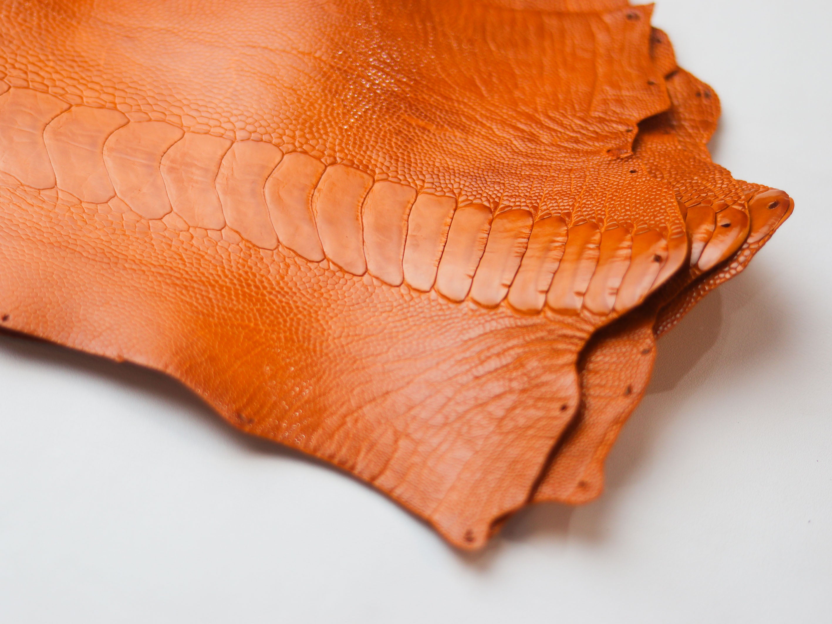 AUGUSTUS - MINIMAL WALLET TANGERINE ORANGE OSTRICH LEG SKIN