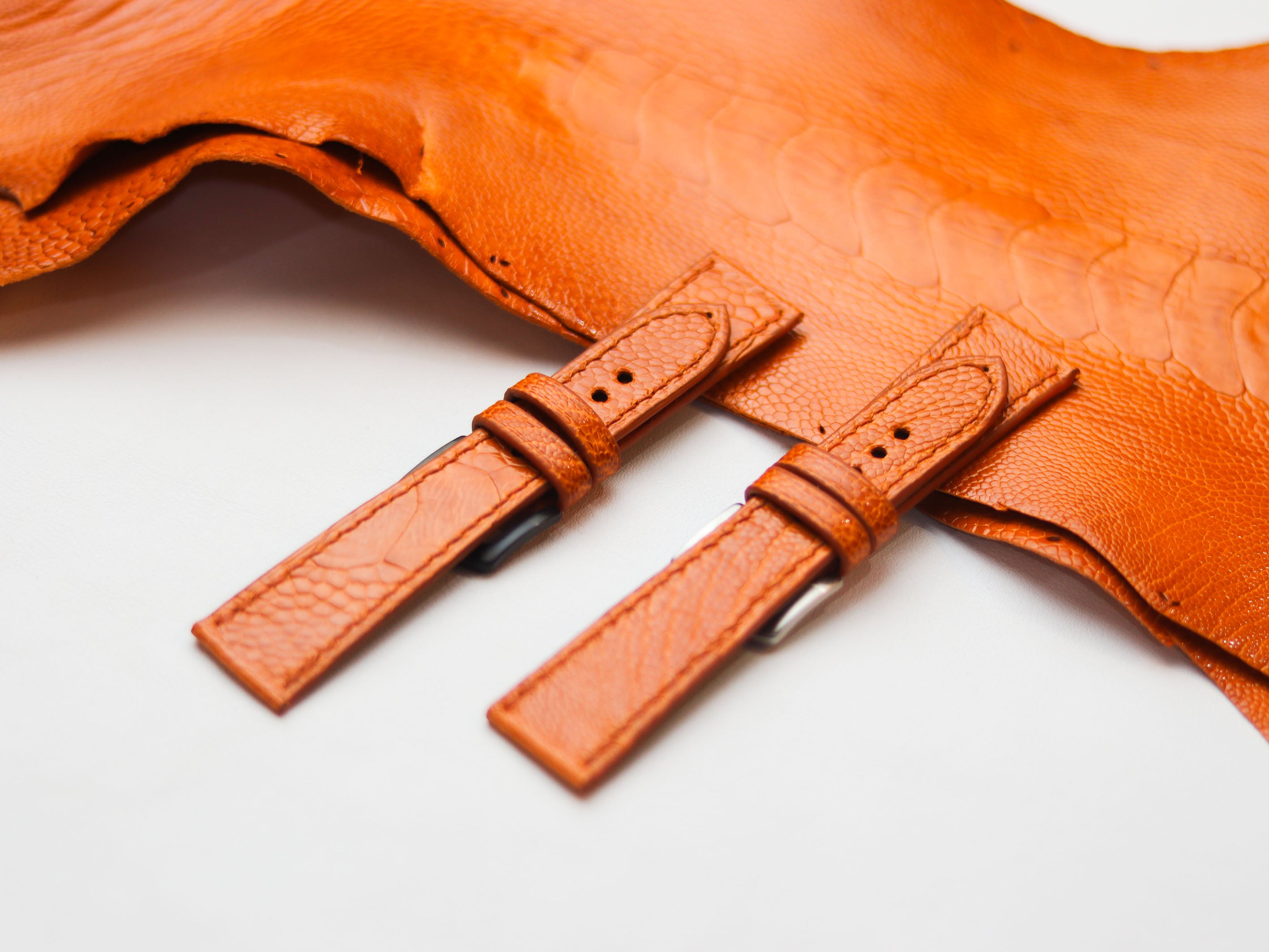 OSTRICH LEG SKIN WATCH STRAPS - TANGERINE ORANGE (KNEE SIDE)