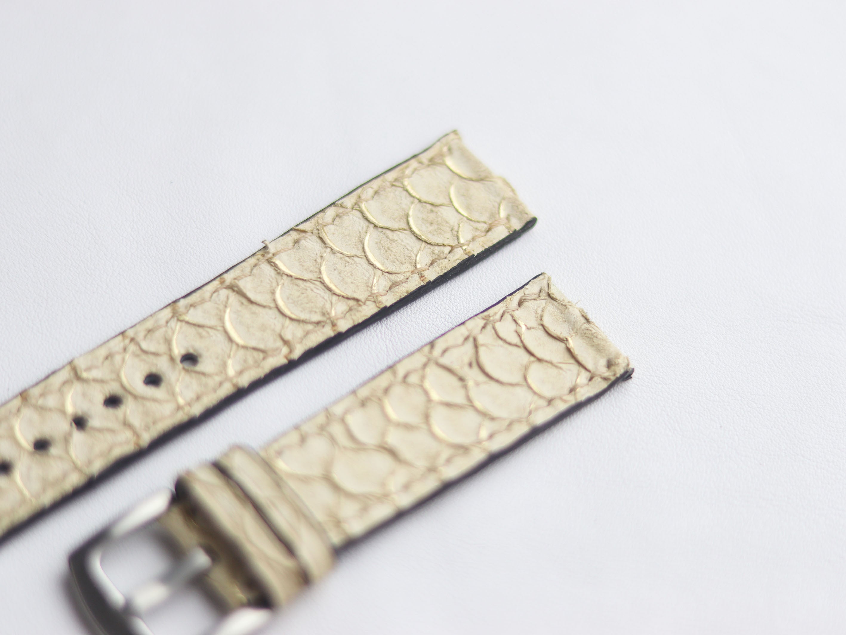 TILAPIA FISH SKIN WATCH STRAPS - ALABESTER WHITE